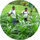 Preparación para la acción social